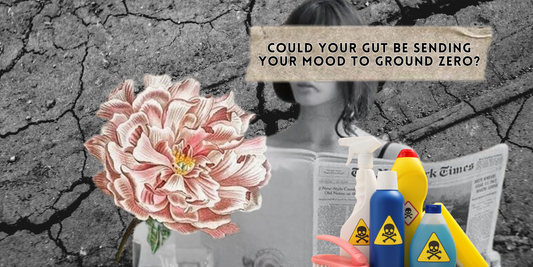 Could Your Gut Be Sending Your Mood to Ground Zero?