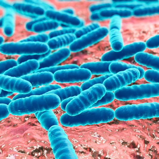 Do Probiotics Really Work?