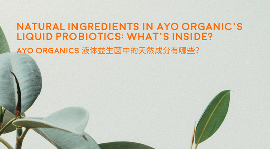 Natural Ingredients in Ayo Organic's Liquid Probiotics: What's Inside?